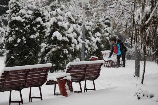 Новый год Брянск встретит без снега