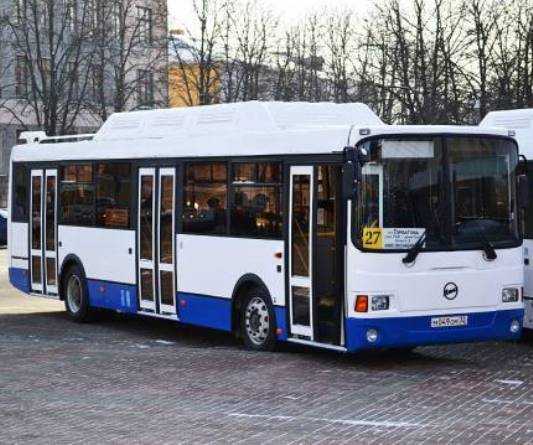 В брянских автобусах покалечились пятиклассница и старушка