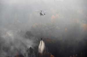 Спасатели прогнозируют торфяные пожары на Брянщине