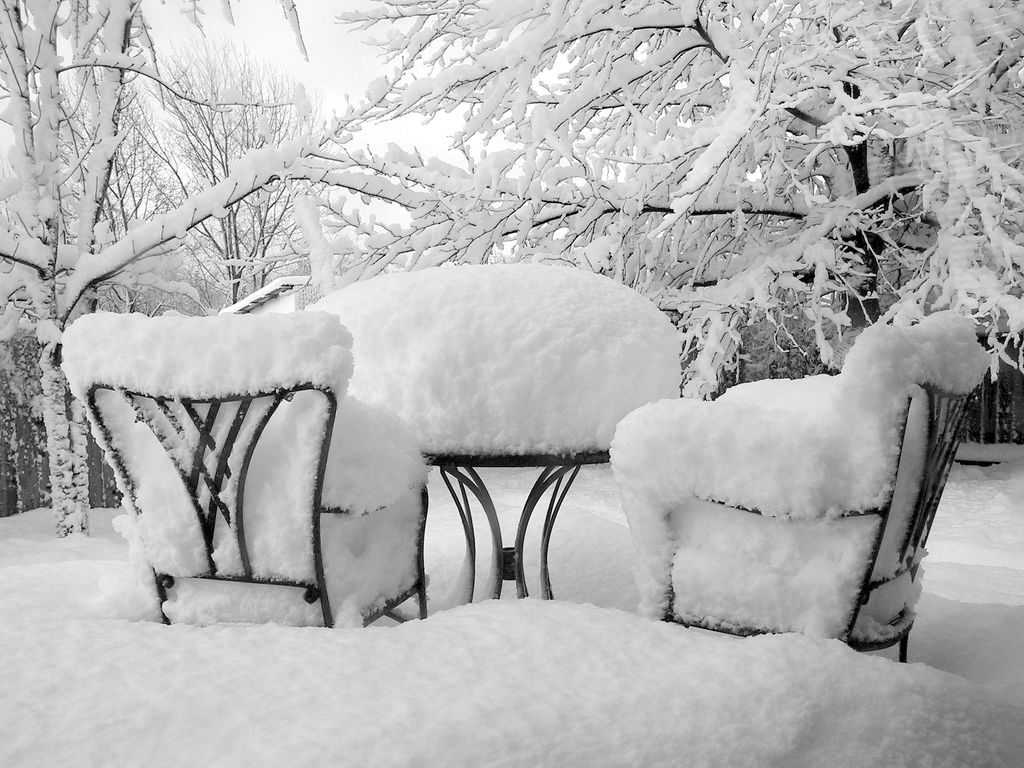 В Брянске ожидается снег и небольшой мороз