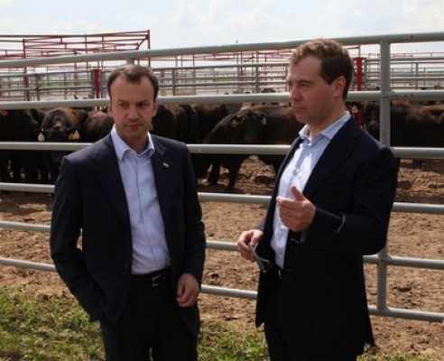 Дмитрий Медведев оценит в Брянске развитие животноводства