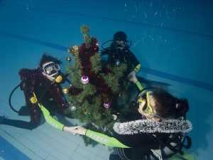 Брянские пловцы установили новогоднюю елку на дне бассейна