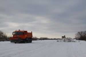 «Лыжня России» в Брянске: без снега и пространства
