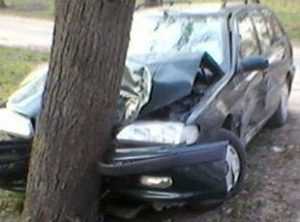 Брянский водитель, врезавшись в дерево, переломал ноги