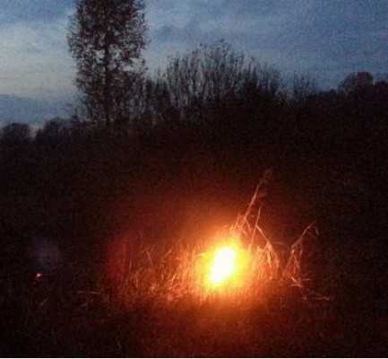 «Зеленые» заявили об опасности пожаров в брянских чернобыльских районах