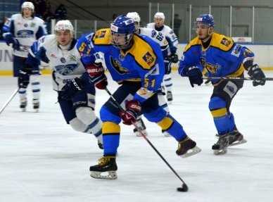 Хоккейный "Брянск" выбыл из розыгрыша лиги