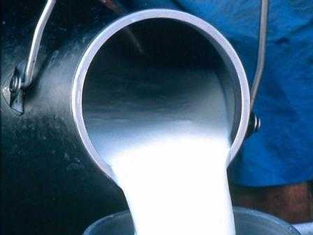 Брянские эксперты нашли антибиотики в сыром молоке