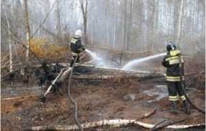 Брянские огнеборцы потушили возгорания торфяников в двух районах