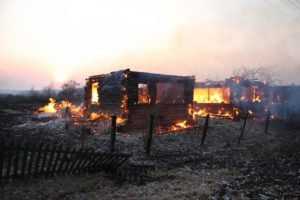 В Брянской области сгорела деревня