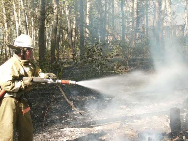 Крупный пожар произошел в брянском лесу