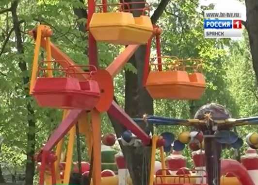 В брянском парке с карусели упала двухлетняя девочка