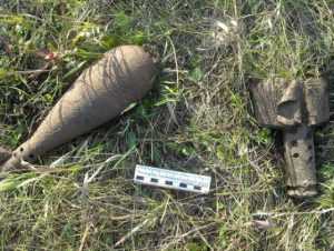 В брянском лесу обнаружили 64 мины времён войны