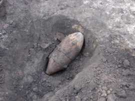 В лесу около Новозыбкова нашли три бомбы