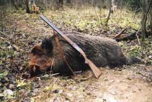 За незаконную охоту ответят 27 брянских браконьеров