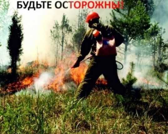 В Брянске снова ввели особый противопожарный режим