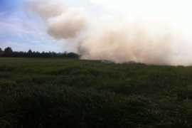 В Брянской области загорелись полтора гектара торфяников