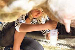 Строителям молочных ферм в Брянской области возместят треть затрат