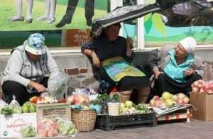 В Брянске откроют 26 площадок для крестьянских рынков