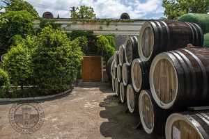 На дегустации века «Массандра» предложит вино 1935 года