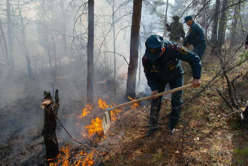 В брянском лесу потушили торфяной пожар