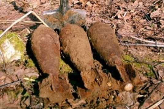 Возле брянского села обнаружили восемь мин