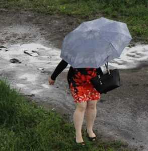 С понедельника в Брянскую область возвратятся дожди