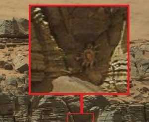 На Марсе рассмотрели гигантского краба