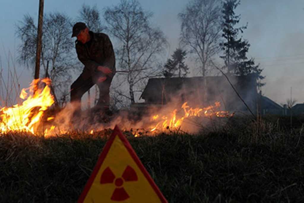 Дым от пожара около Чернобыльской АЭС брянцам пока не угрожает