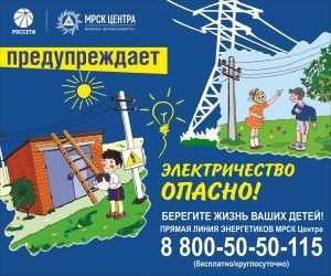 Брянские энергетики попросили уберечь детей от электротравм