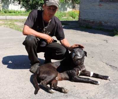 В Новозыбкове собака защитила женщину от гадюки