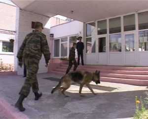 Полиция проверит безопасность брянских школ
