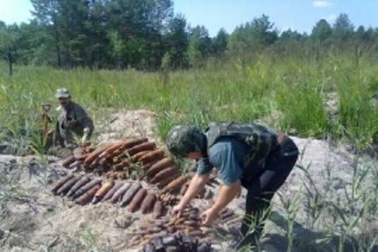 В брянском болоте всплыли 215 снарядов и 58 гранат
