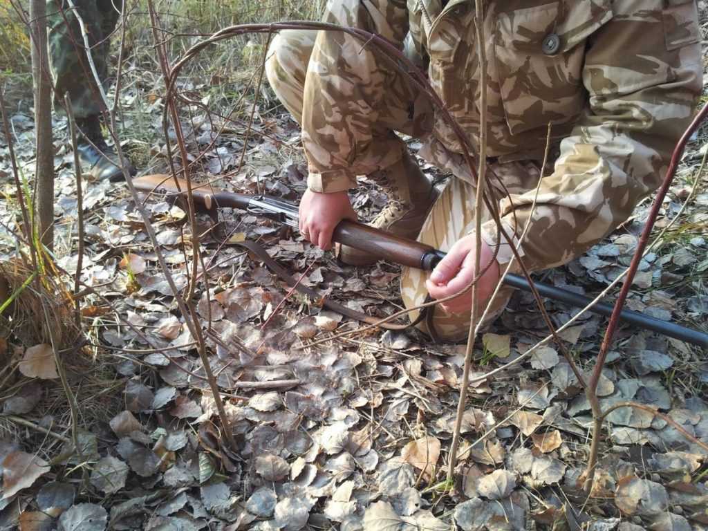В брянском лесу охотник застрелил грибника