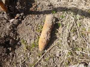В брянском лесу обнаружили снаряды