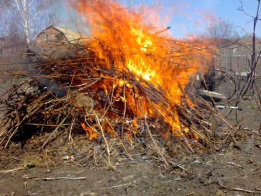 В Брянске спасатели потушили горевший мусор