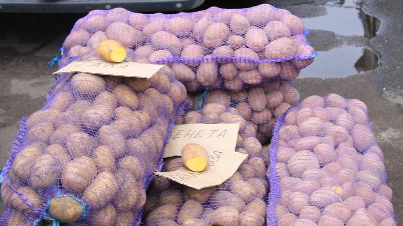 Картофель на овощных базарах в Брянске стал самым ходовым товаром
