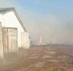 Фермеры потушили пожар в брянской деревне