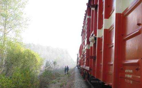 Для тушения лесного пожара под Брянском задействовали поезд
