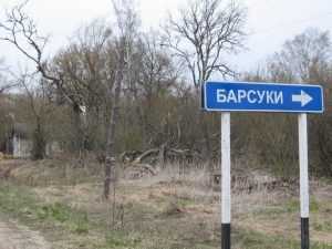 Брянск может получить миллиарды, отобранные у чернобыльской мафии