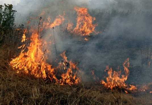 В Выгоничском районе Брянской области потушили торфяной пожар