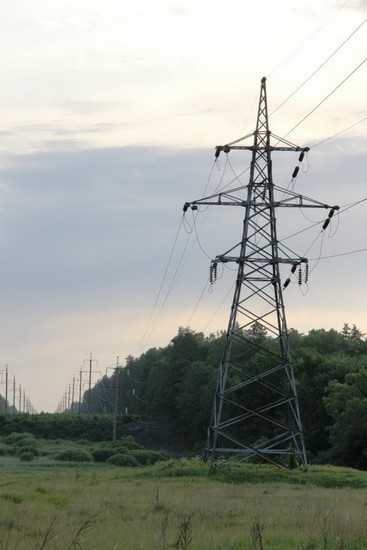 Брянские энергетики расчистили просеки под линиями электропередачи