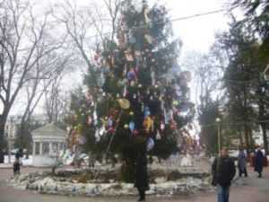 В Брянске начались поиски главной новогодней ёлки города
