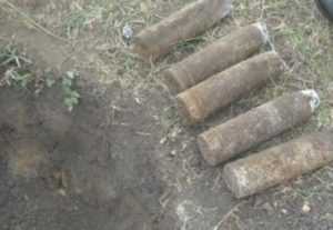 У озера возле брянской усадьбы обнаружили восемь снарядов