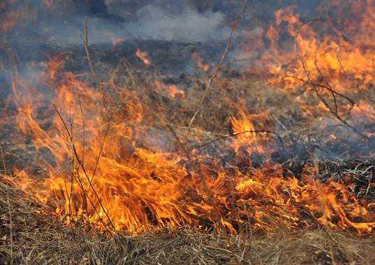 На Брянщине закрыт пожароопасный сезон – торфяники горят