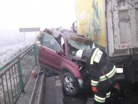 На трассе Москва — Киев столкнулись 12 автомобилей