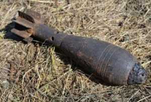 В Володарском районе Брянска обнаружили две мины