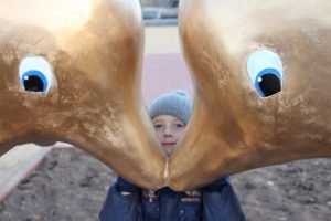 Дяди победили детей: Брянск останется без дельфинов на набережной