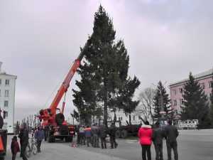 В брянском райцентре установили новогоднюю ель