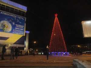 В Бежицком районе Брянска зажгли новогоднюю ёлку
