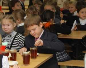 Брянские депутаты в два раза сократили дотации на школьные обеды